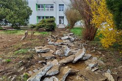 Edukačný dvor v základnej škole - dekoratívna grafika